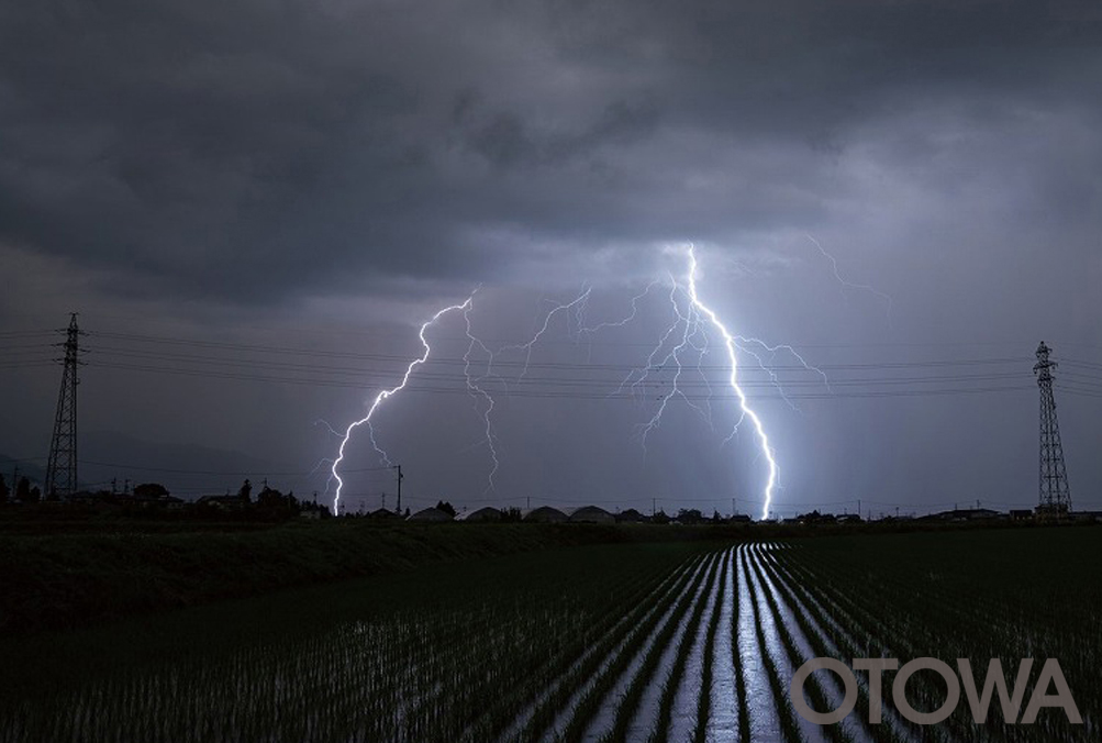 The 19th 雷写真コンテスト受賞作品 Gold Prize -Roaring in the countryside-